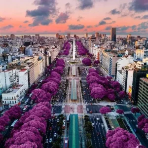 Argentina - Rebuilding Through Digital Innovation