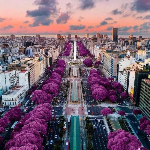 Argentina - Rebuilding Through Digital Innovation