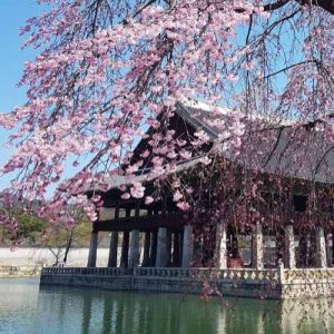 South Korea - Asia’s Innovation and Entertainment Giant