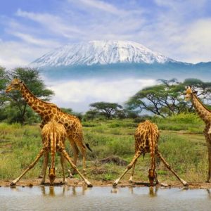Tanzania - Tourism, Energy and Maritime Growth Zone