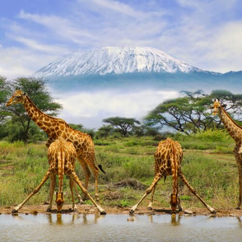Tanzania - Tourism, Energy and Maritime Growth Zone